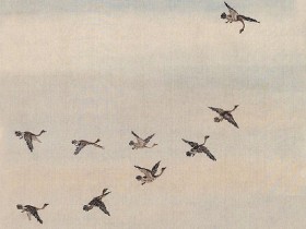 鸿雁在云鱼在水,惆怅此情难寄!全诗词意思及赏析